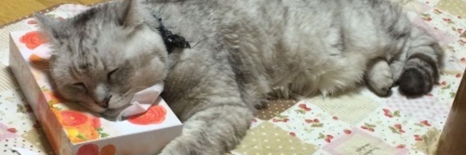 くろねこあまねのファンクラブ