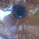 ま～さん写真館 (ま～さん)