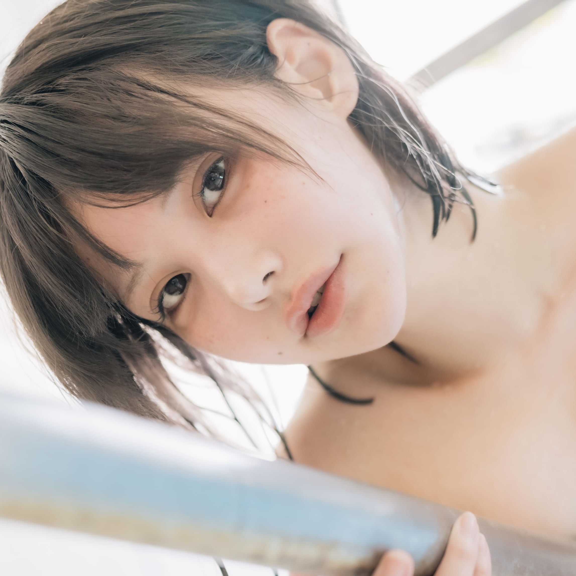 チロルちゃん大好き倶楽部 (チロル🌸)