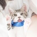 虹色七変化 (股旅ほたる)