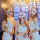 性興研究会 (風速ぱんちーず)