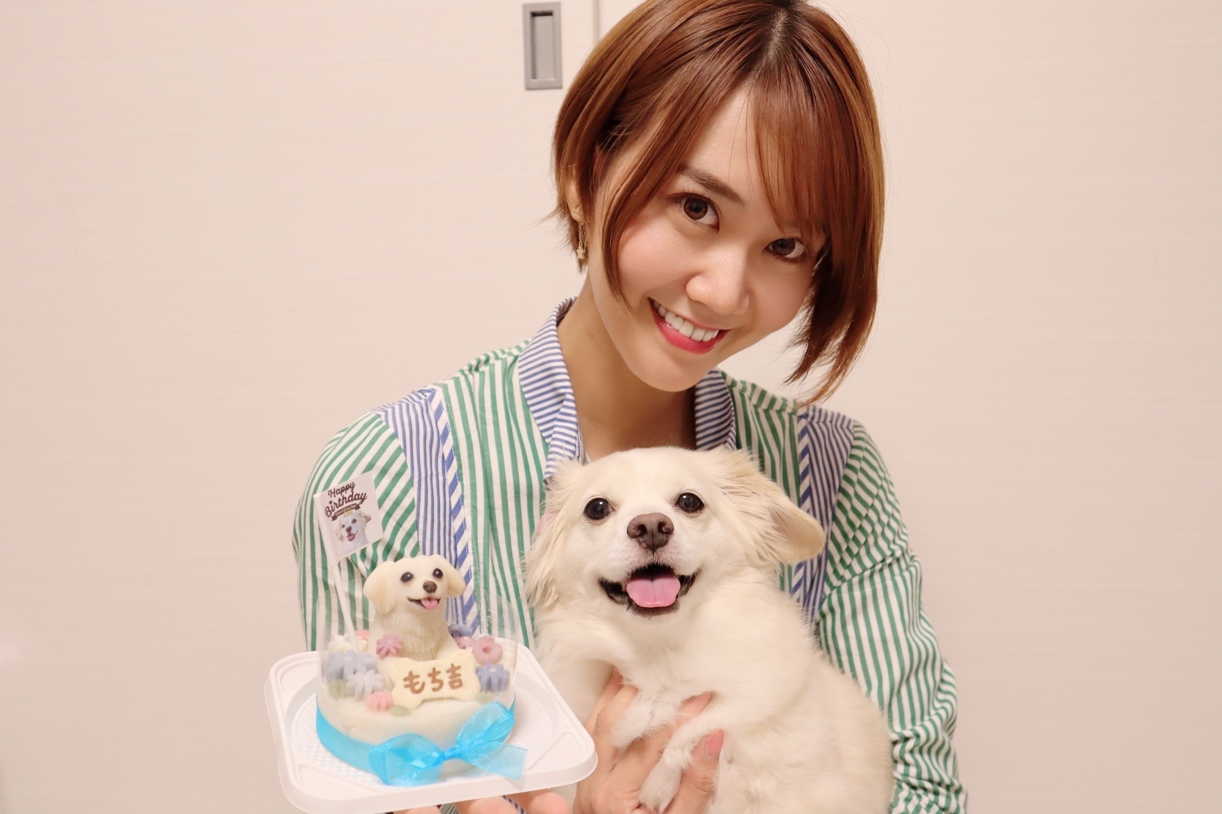 まいまいすと&もち推し (安藤まい)