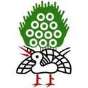 索ファンクラブ (索)