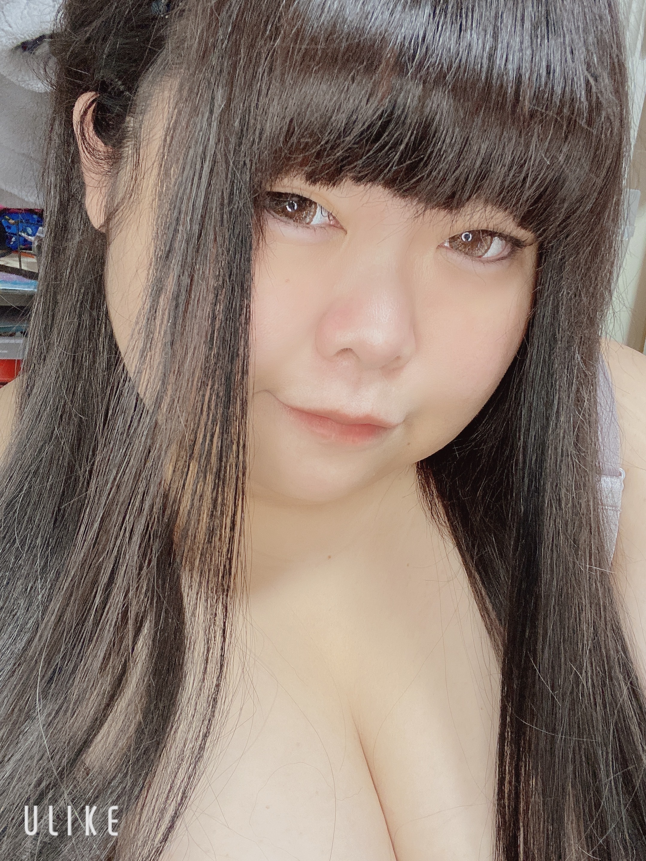 ぷーこのふぁんくらぶ (ぷーこ)