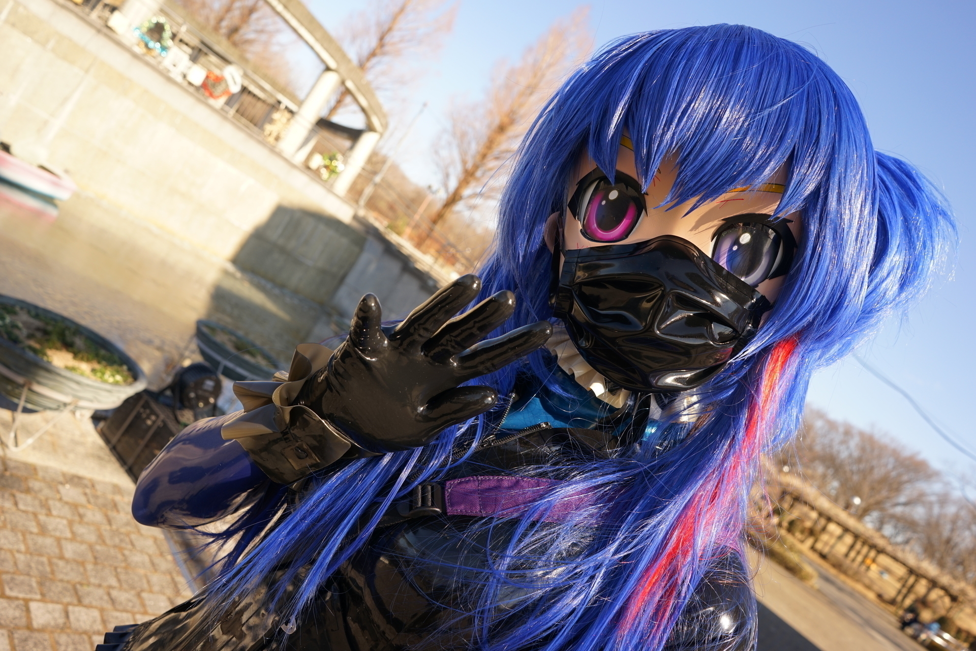 しぇるファンクラブ (しぇる)