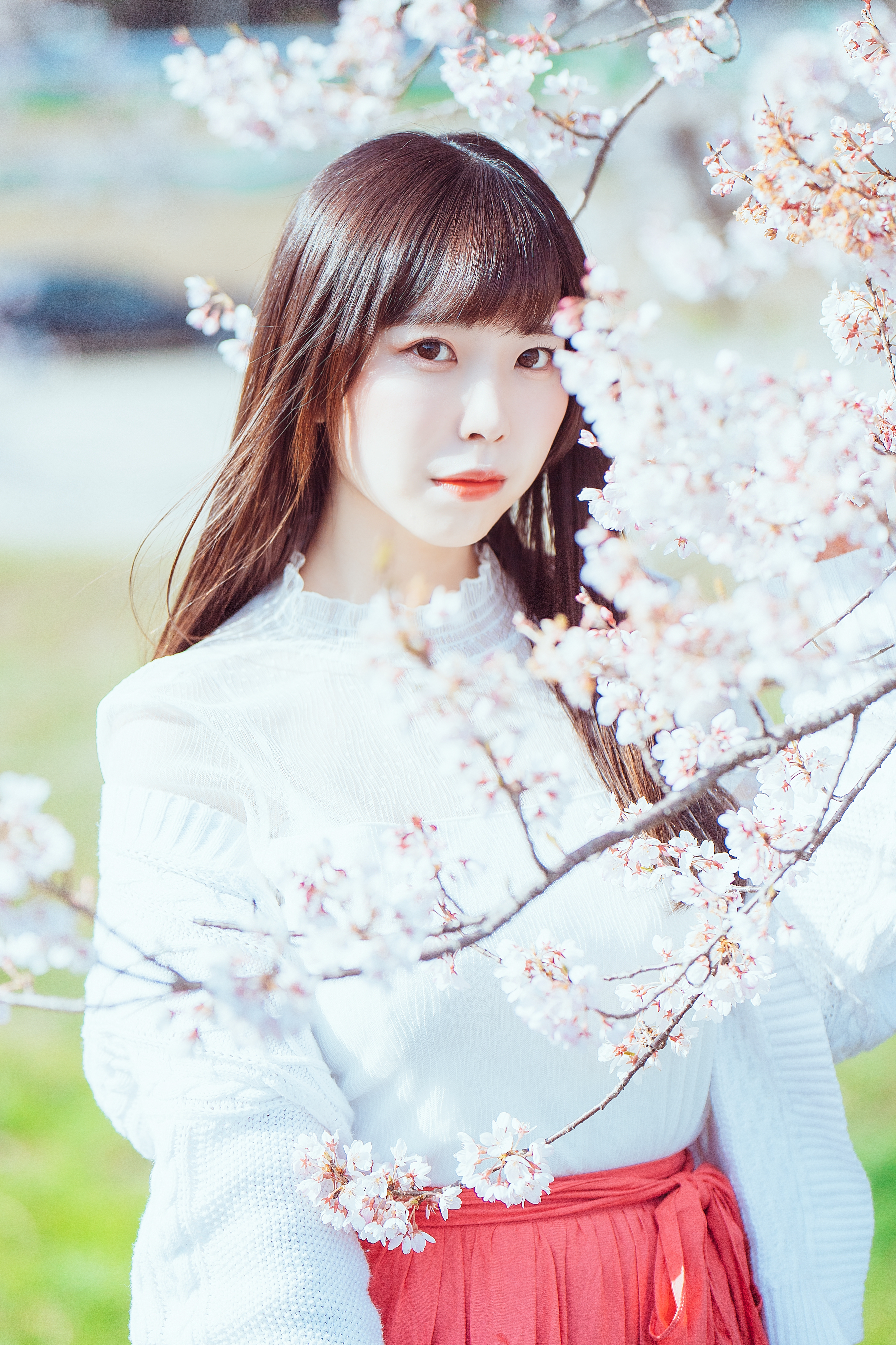 なつめのおじかん🐾 (なつめ うい)