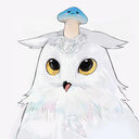 DemaHmwファンクラブ (DemaHmw/代碼)