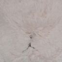 みみにゃんるーむ (みみにゃん(≡・ω・≡))