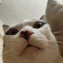 令玉 チャットする Fantia (令玉)