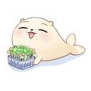 阿佐ヶ谷独居ファンクラブ (阿佐ヶ谷独居)