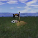 Retired Straw Hat Pirates Fan club (Retired Straw Hat Pirates)