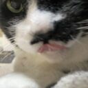 てぁの秘密基地 (てぁ)