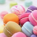 モンスタファンクラブ (モンスタ)