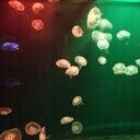 たちぎの承認欲求 (たちぎ)