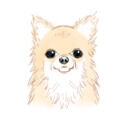 ぐうすかのファンティア (ぐうすか)