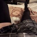 うるとのファンクラブ