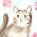 【猫大好き】府中の占い師ファンティア