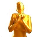 ゼンタイスタジオ (Zentai Studio)