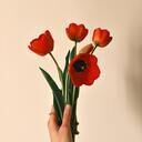 ぷにこのふぁんてぃあ♥ (ぷにこ)