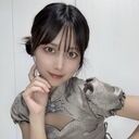 琴波茶房🍵 (琴波めうろ)