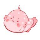 ゆたランド (ゆた)