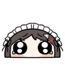 6ヶ月経過