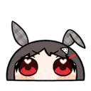 12ヶ月経過