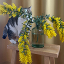 ❤️妄想プラン❤️