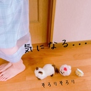 少し気になるプラン隊