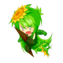 サンフラワー