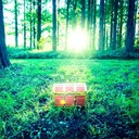 お試し探検家プラン