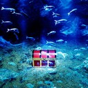 シルバー探検家プラン