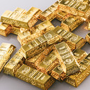 ゴールド探検家プラン