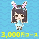 ３０００応援コース