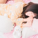 ゴマフアザラシプラン