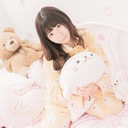 ハイイロアザラシプラン