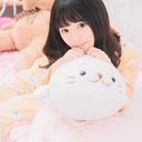 きゅ〜極！ヒョウアザラシプラン