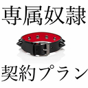 【専属奴隷契約プラン】