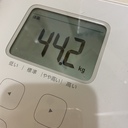 ❕ワンコイン❕ただの募金
