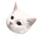 星のかけらプラン