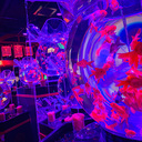 もみじのねむ③