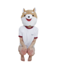 中型犬プラン