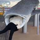 ながめるプラン