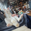 まったりのんびりプラン