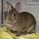 こちらのプランは終了しました。