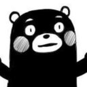 超高額支援プラン
