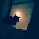 がっつりRIN Channel（支援プラン）