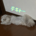 テキファン(無料)