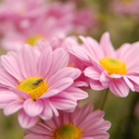 アラフィフプラン