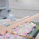 温泉モデルオフ会の特権♥️